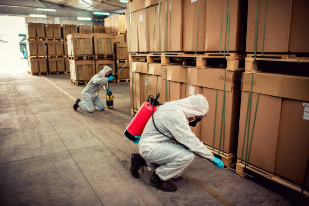 Best Local Pest Control Services  in Sawgrass, FL