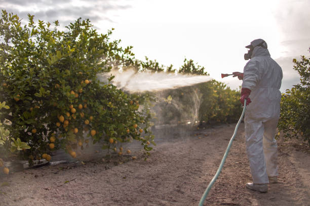 Best Residential Pest Control  in Sawgrass, FL