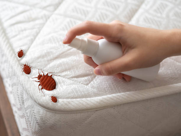 Pest Control for Restaurants in Sawgrass, FL