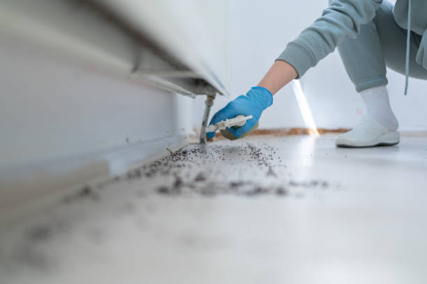 Best Wildlife Control Services  in Sawgrass, FL